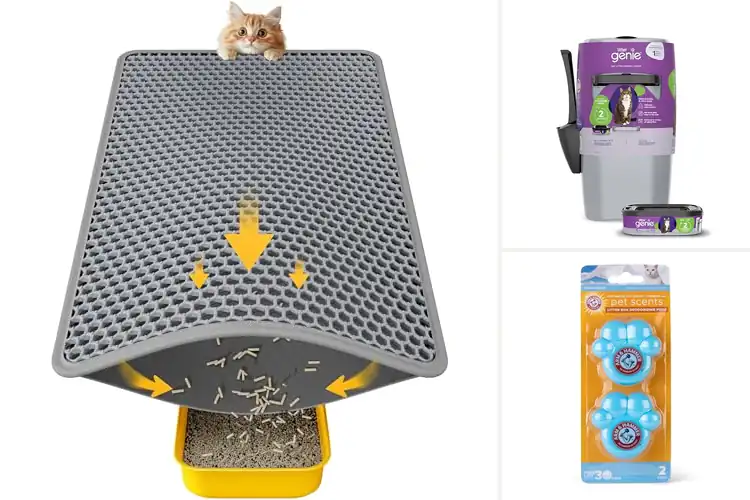 Detailed view of Best Litter Box Accessories for a Cleaner, Happier Home