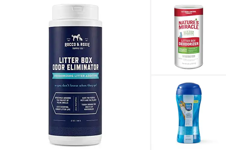 Detailed view of Best Litter Box Odor Control Solutions