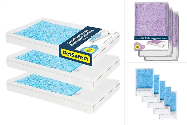 Detailed view of Best Litter Box Refills