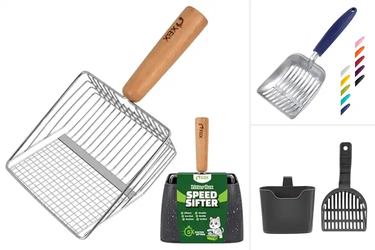 Detailed view of Best Litter Box Scoops