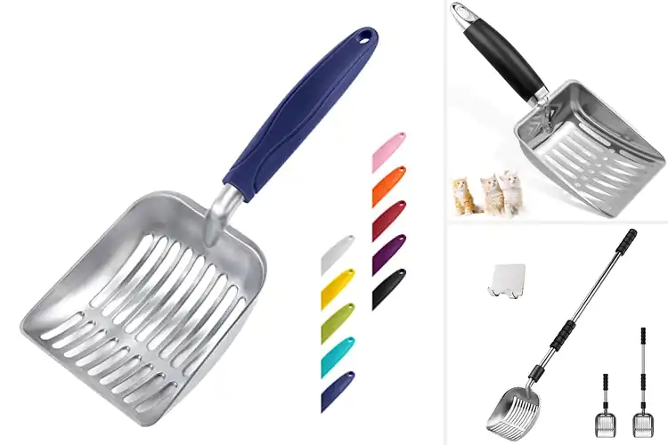 Detailed view of Best Litter Box Tools