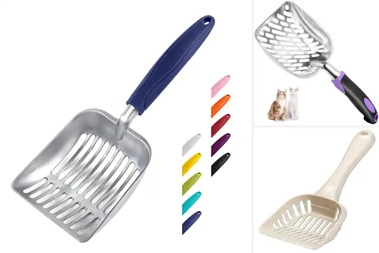 Detailed view of Best Litter Scoops