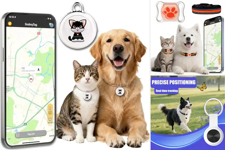 Detailed view of Best Long Battery Life Cat Trackers