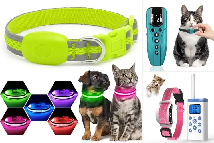 Detailed view of Best Long Lasting Battery Cat Collars
