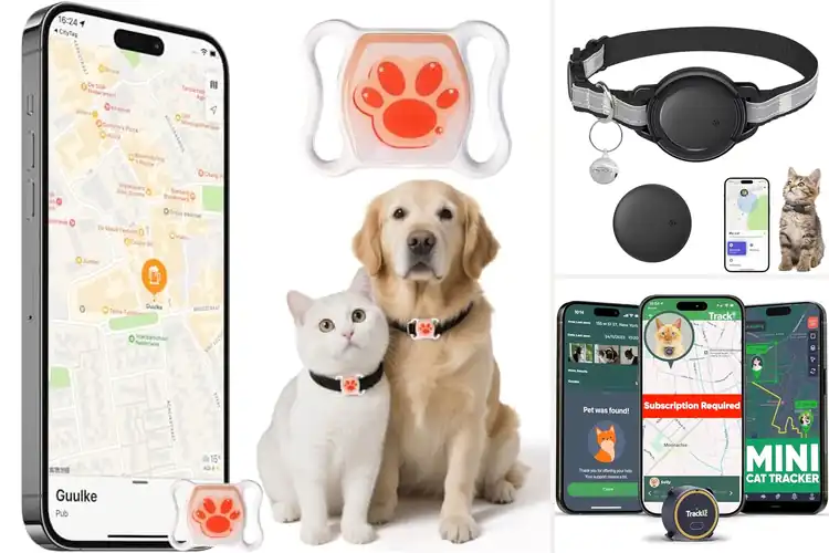 Detailed view of Best Long Lasting Battery Cat Tracker