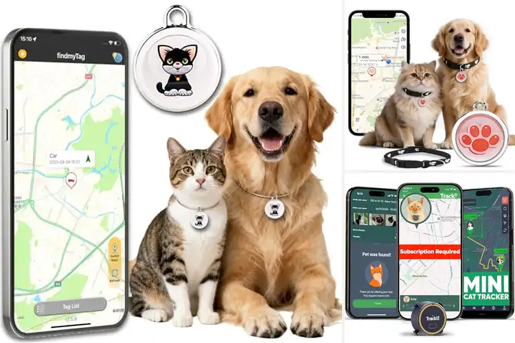 Detailed view of Best Long Lasting Battery Cat Trackers