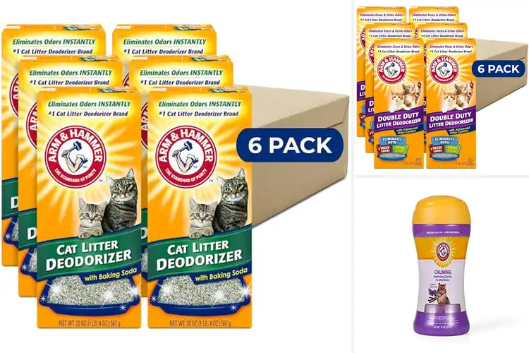 Detailed view of Best long-lasting cat litter deodorizers