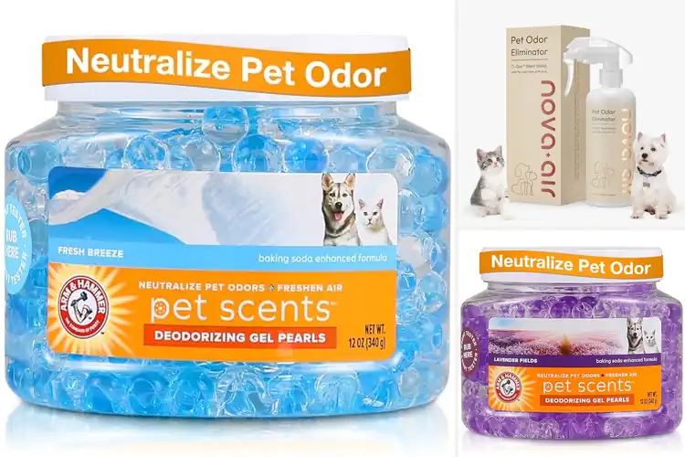 Detailed view of Best Long Lasting Odor Suppression For Multi Cat Homes