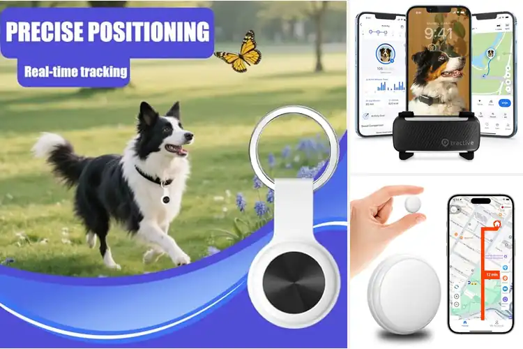 Detailed view of Best Long Lasting Pet Trackers