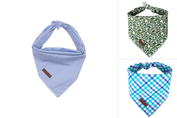 Detailed view of Best Machine Washable Dog Bandana