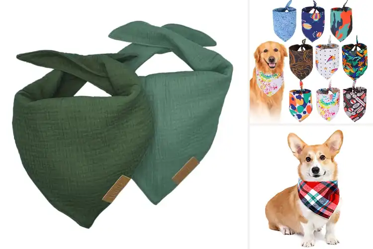Detailed view of Best Machine Washable Dog Bandanas