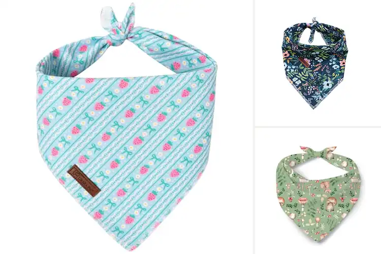 Detailed view of Best Machine Washable Pet Bandanas