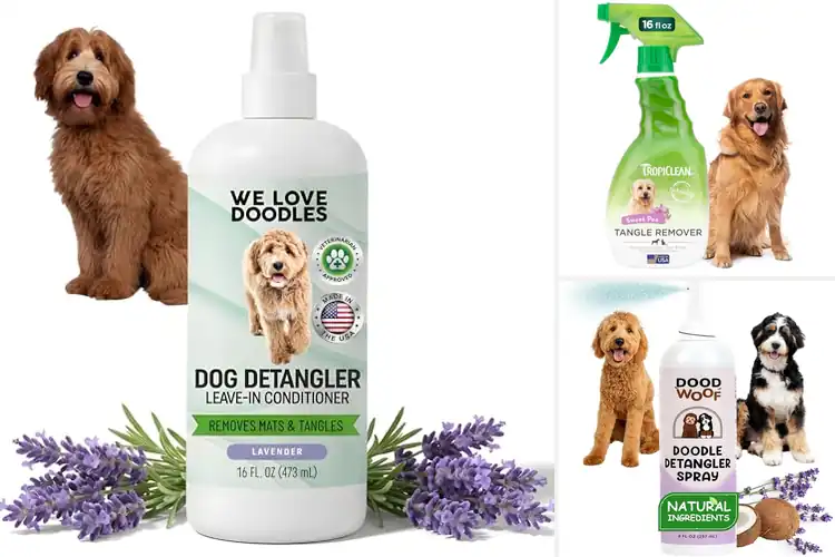 Detailed view of Best Matting Detangler For Doodles