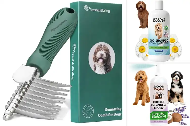 Detailed view of Best Matting Solution For Poodle Hair