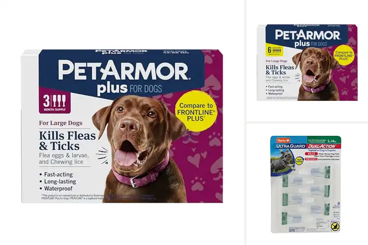 Detailed view of Best Monthly Flea Infestation Protection For Dogs