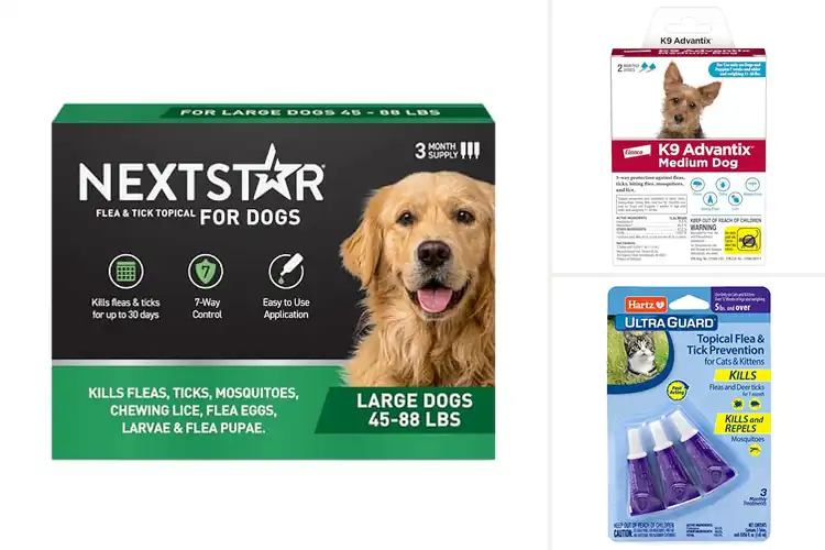 Detailed view of Best Monthly Flea Solutions: Stress-Free Pet Protection