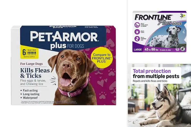 Detailed view of Best Monthly Flea Treatments For Dogs