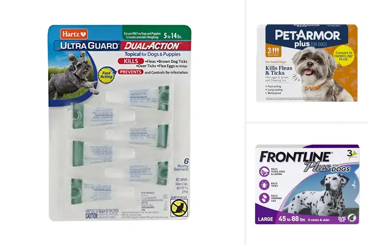 Detailed view of Best Monthly Flea Treatments