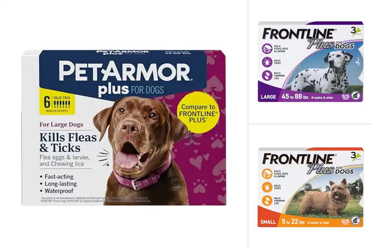Detailed view of Best Monthly Tick And Flea Prevention For Dogs