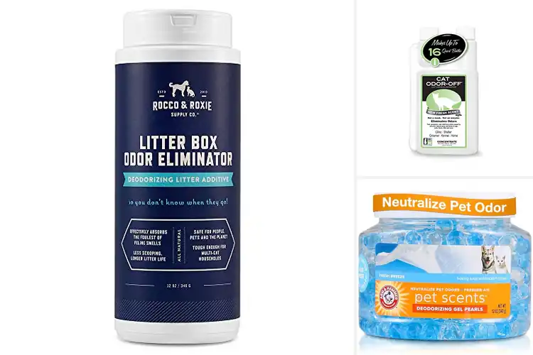 Detailed view of Best multi-cat household odor eliminators