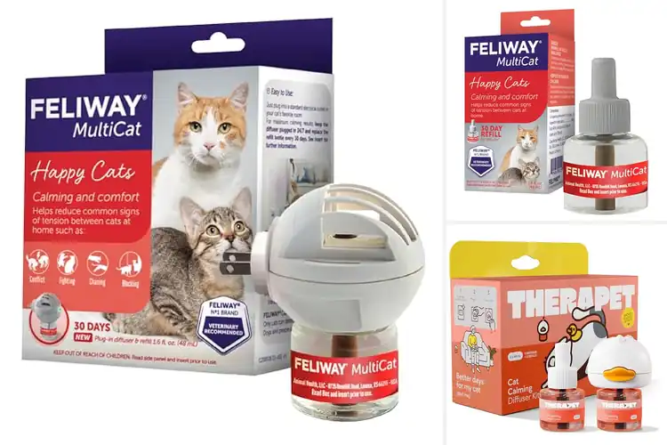 Detailed view of Best Multi-Cat Household Products