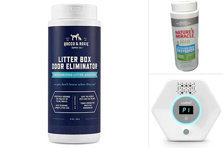 Detailed view of Best Multi-Cat Odor Control Solutions