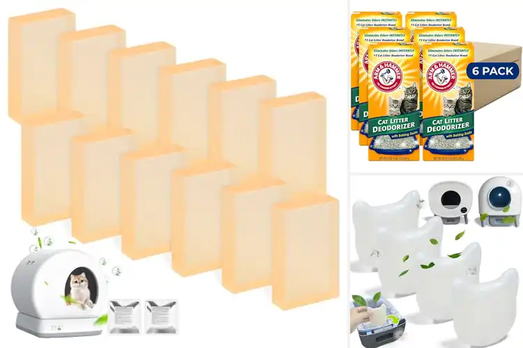 Detailed view of Best Multi-Pack Litter Deodorizers