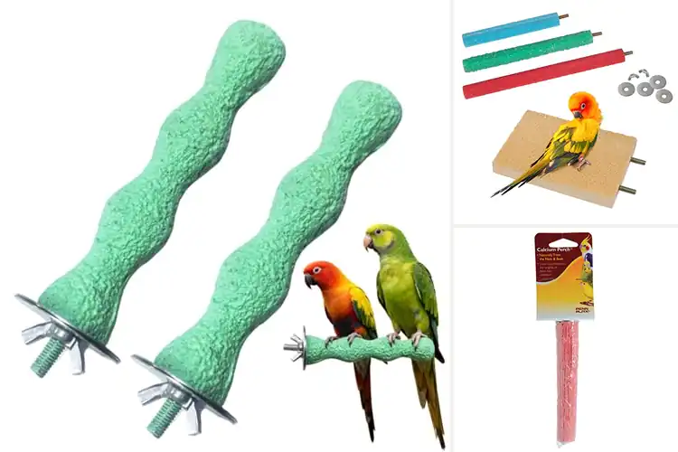 Detailed view of Best Nail Trimming Perches: Top 10 Picks for Healthy Birds