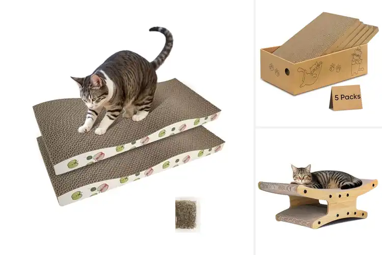 Detailed view of Best Natural Cardboard Scratcher Material