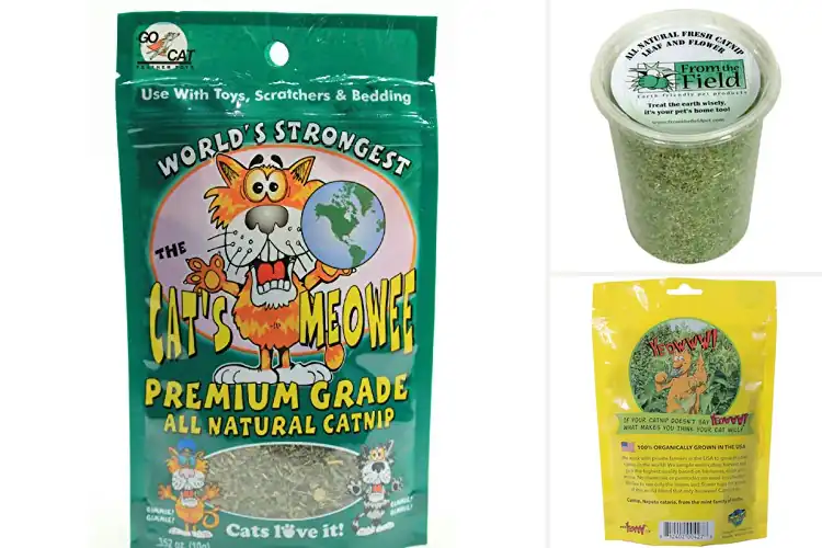 Detailed view of Best Natural Catnip
