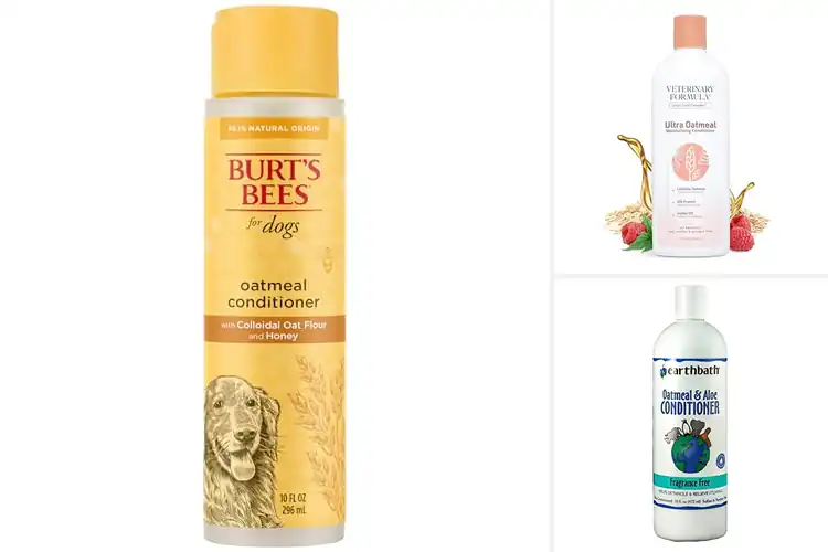 Detailed view of Best Natural Dog Conditioners