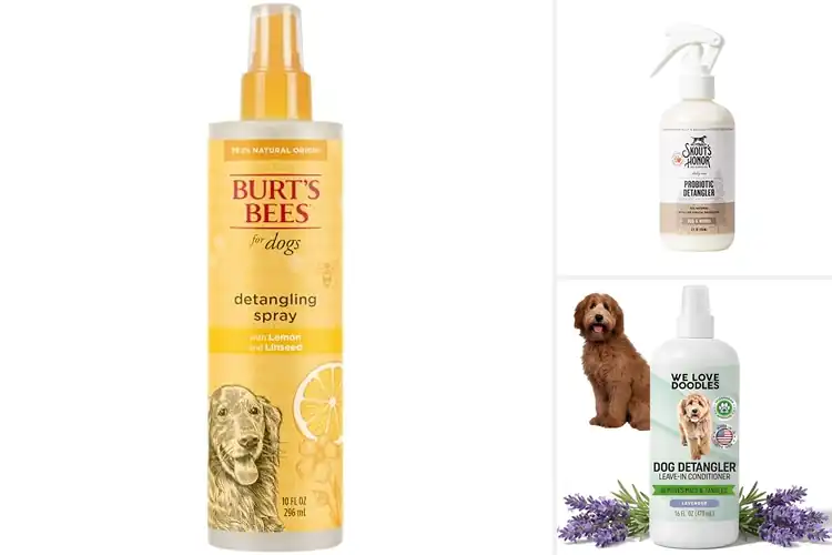 Detailed view of Best Natural Dog Detangler Spray