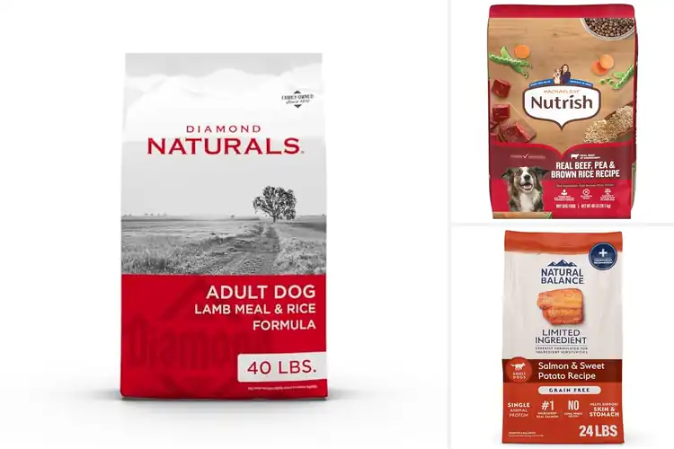 Detailed view of Best Natural Dog Foods: Top Picks for Wholesome Nutrition