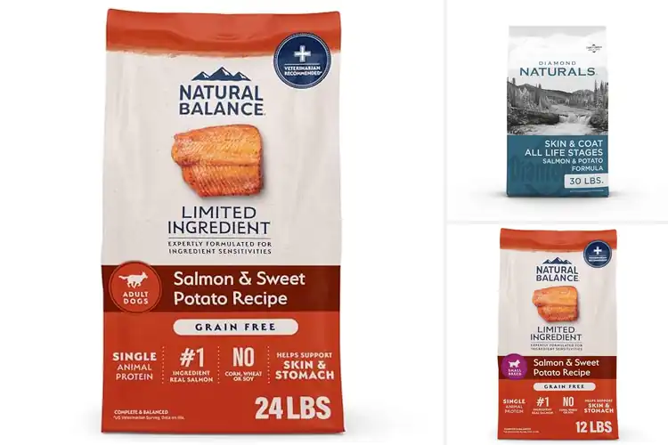 Detailed view of Best Natural Dog Ingredients