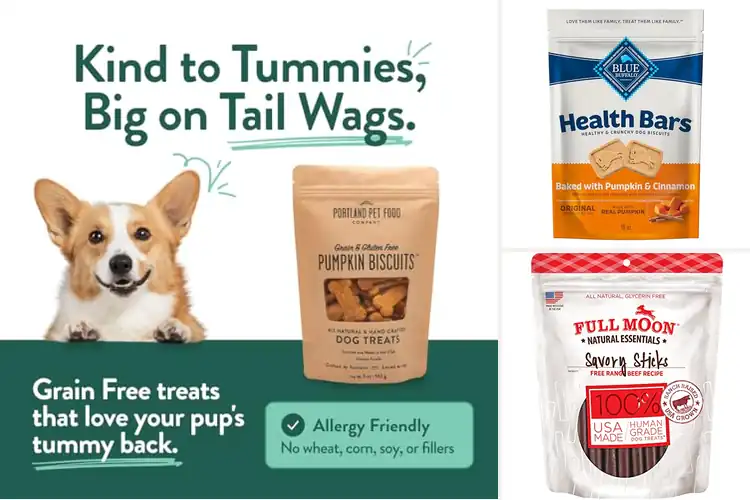 Detailed view of Best Natural Dog Snacks