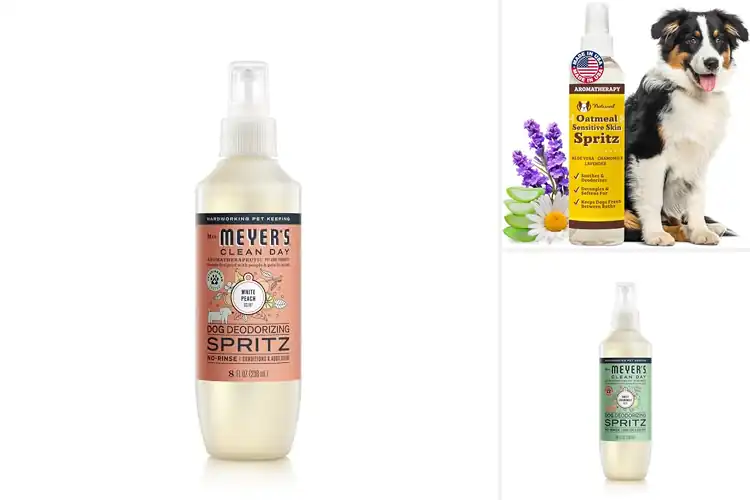 Detailed view of Best Natural Dog Sprays: Fresh, Happy, and Healthy Pets