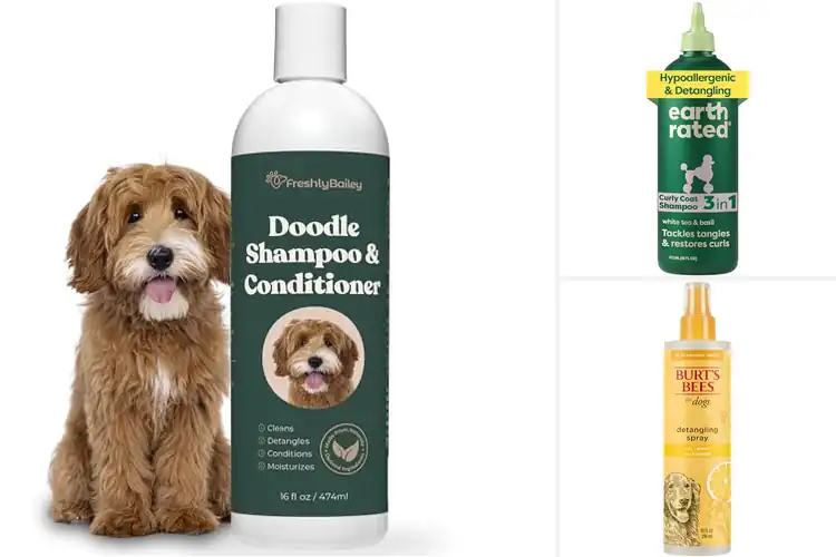 Detailed view of Best Natural Ingredients For Doodle Coat