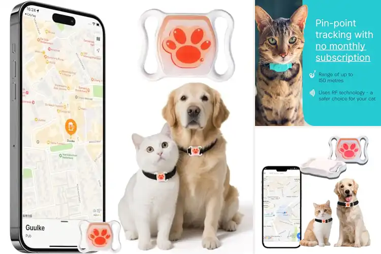 Detailed view of Best No Monthly Fee Cat Tracker: Top 10 Cost-Free Options