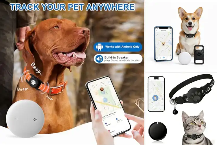 Detailed view of Best No Monthly Fee Pet Trackers