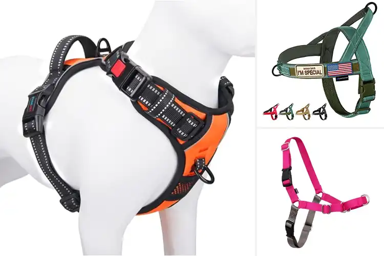 Detailed view of Best No Pull Harnesses: Stress-Free Walks for Your Dog