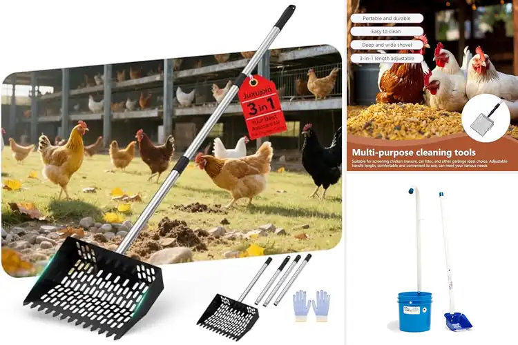 Detailed view of Best No-Sift Scoops: Effortless Cleaning Made Simple