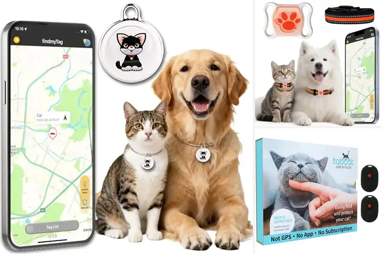 Detailed view of Best No Subscription Cat GPS Trackers