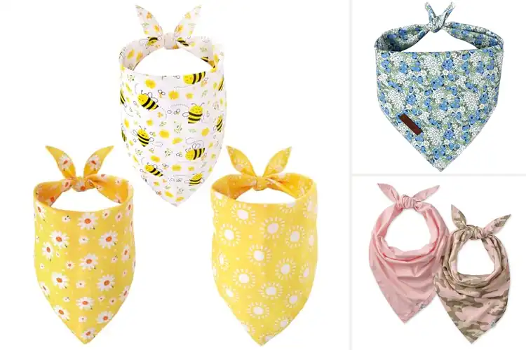 Detailed view of Best Non Irritant Pet Bandanas For Sensitive Skins