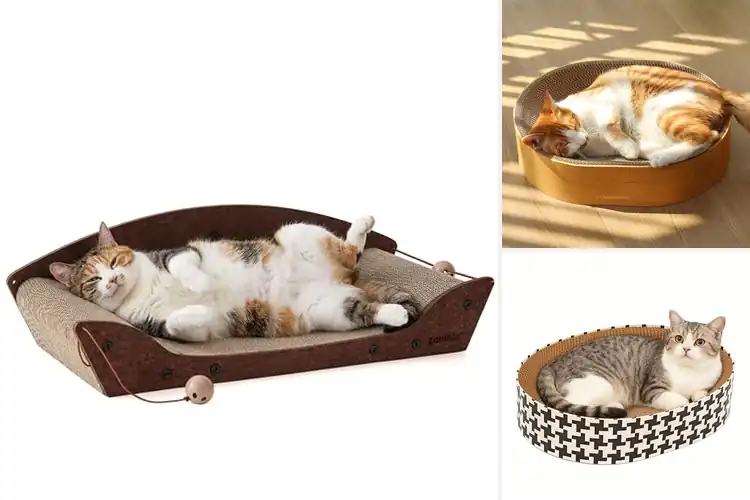Detailed view of Best Non Toxic Cardboard Cat Scratcher Beds