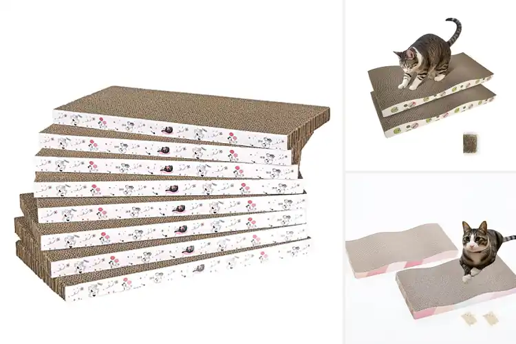 Detailed view of Best Non Toxic Cardboard Scratcher