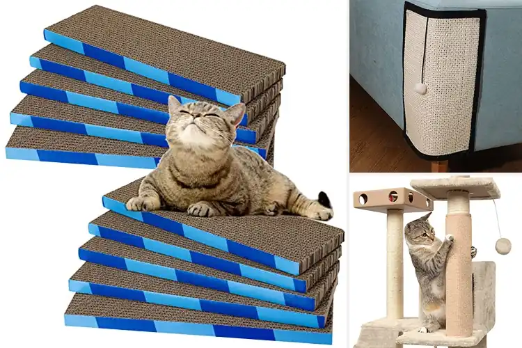 Detailed view of Best Non Toxic Cat Scratcher Material