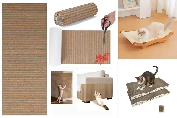 Detailed view of Best Non Toxic Cat Scratcher