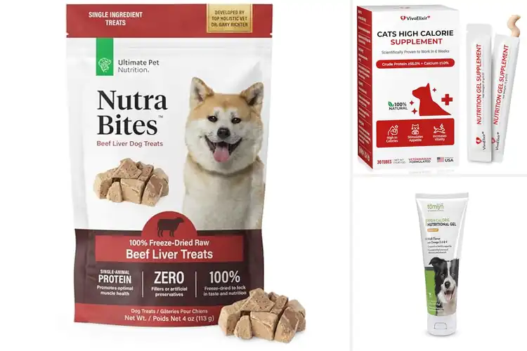 Detailed view of Best Nutritional Treats: 10 Healthy Picks for Happy Pets