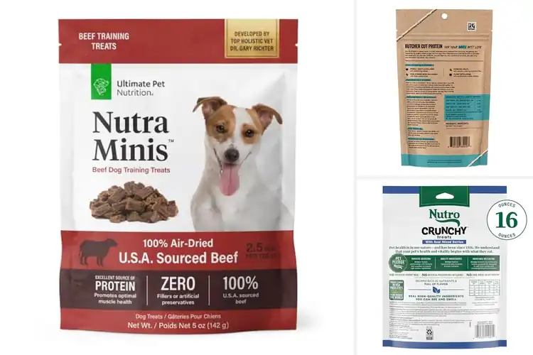 Detailed view of Best Nutritious Dog Training Treats