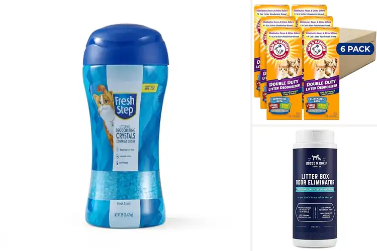 Detailed view of Best Odor Control For Litter Box